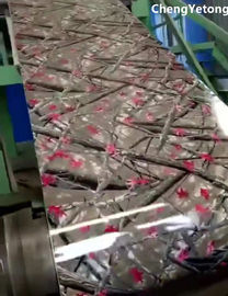 Home Appliance Pre Painted Steel Sheet Eco Friendly With Customized Pattern Printing